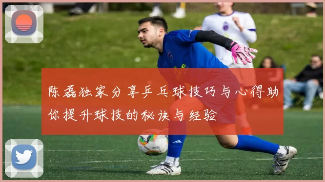 陈磊独家分享乒乓球技巧与心得助你提升球技的秘诀与经验