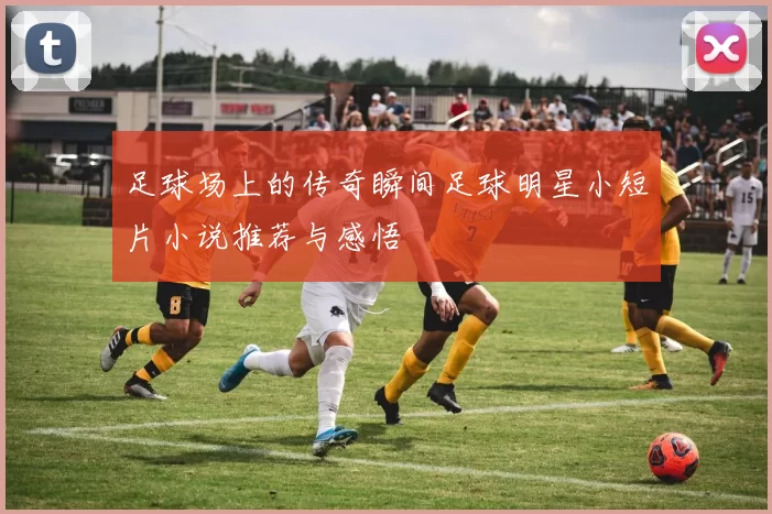足球场上的传奇瞬间足球明星小短片小说推荐与感悟