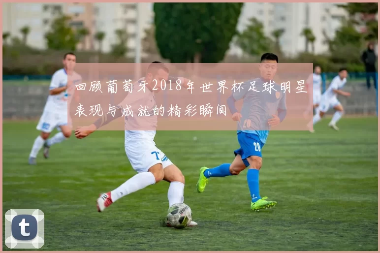 回顾葡萄牙2018年世界杯足球明星表现与成就的精彩瞬间