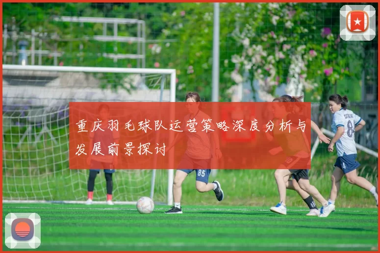 重庆羽毛球队运营策略深度分析与发展前景探讨