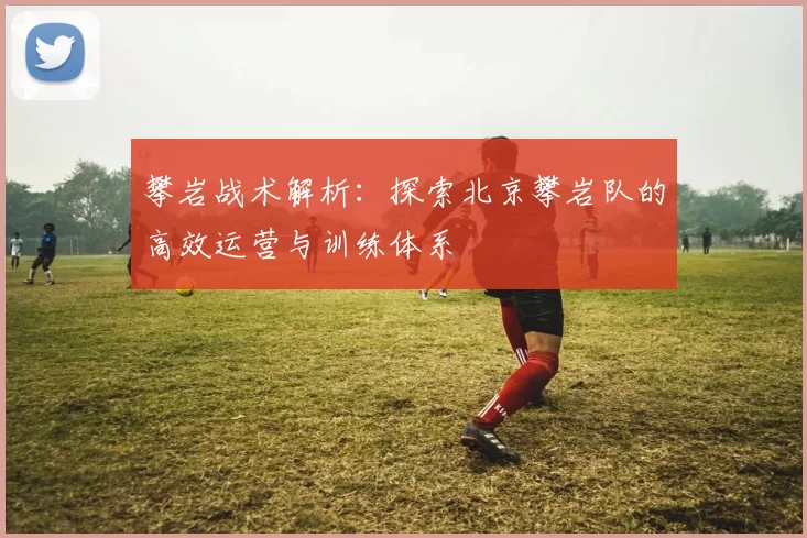 攀岩战术解析：探索北京攀岩队的高效运营与训练体系