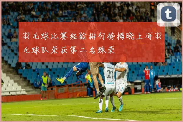 羽毛球比赛经验排行榜揭晓上海羽毛球队荣获第二名殊荣