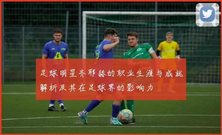 足球明星齐耶赫的职业生涯与成就解析及其在足球界的影响力