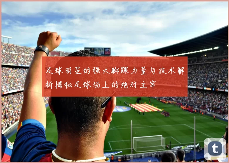 足球明星的强大脚踝力量与技术解析揭秘足球场上的绝对主宰
