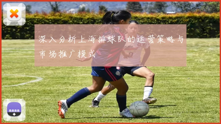 深入分析上海排球队的运营策略与市场推广模式