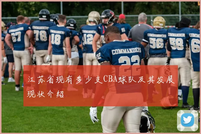 江苏省现有多少支CBA球队及其发展现状介绍