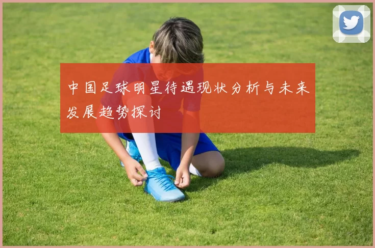 中国足球明星待遇现状分析与未来发展趋势探讨