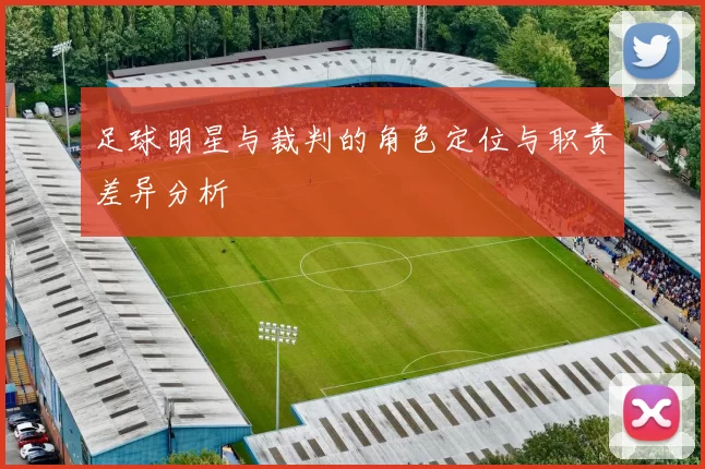 足球明星与裁判的角色定位与职责差异分析
