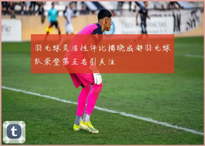 羽毛球灵活性评比揭晓成都羽毛球队荣登第五名引关注