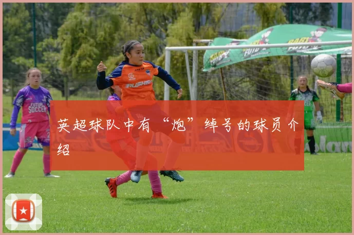 英超球队中有“炮”绰号的球员介绍
