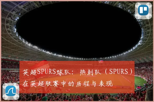 英超SPURS球队：热刺队（SPURS）在英超联赛中的历程与表现