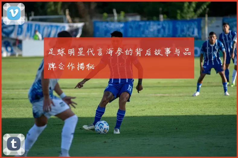 足球明星代言海参的背后故事与品牌合作揭秘