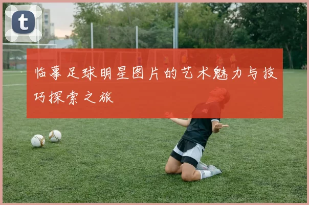 临摹足球明星图片的艺术魅力与技巧探索之旅