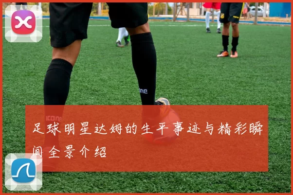 足球明星达姆的生平事迹与精彩瞬间全景介绍