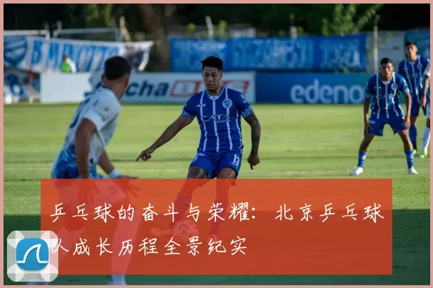 乒乓球的奋斗与荣耀：北京乒乓球队成长历程全景纪实