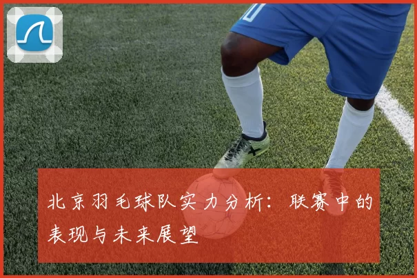 北京羽毛球队实力分析：联赛中的表现与未来展望