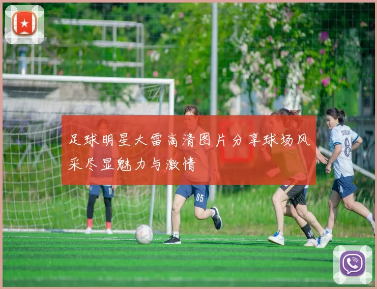 足球明星大雷高清图片分享球场风采尽显魅力与激情