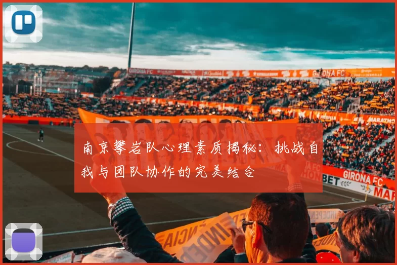 南京攀岩队心理素质揭秘：挑战自我与团队协作的完美结合