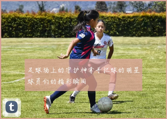 足球场上的守护神拿手拦球的明星球员们的精彩瞬间