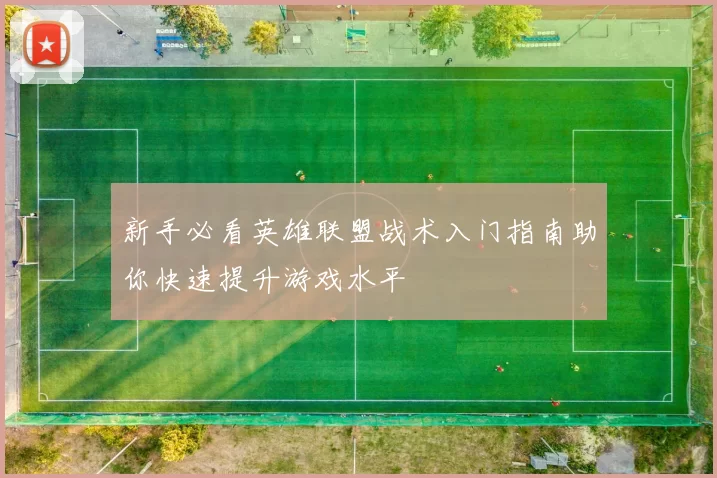 新手必看英雄联盟战术入门指南助你快速提升游戏水平