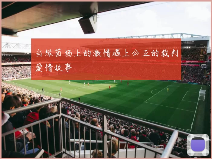 当绿茵场上的激情遇上公正的裁判爱情故事