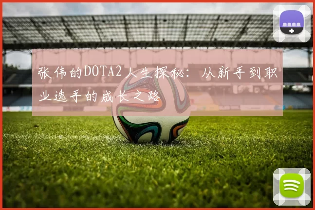 张伟的DOTA2人生探秘：从新手到职业选手的成长之路