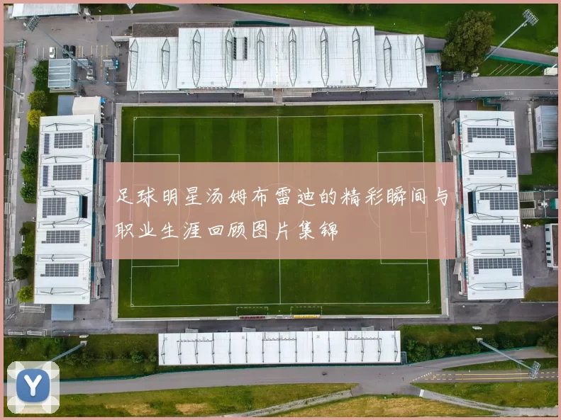 足球明星汤姆布雷迪的精彩瞬间与职业生涯回顾图片集锦