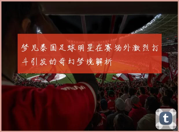 梦见泰国足球明星在赛场外激烈打斗引发的奇幻梦境解析