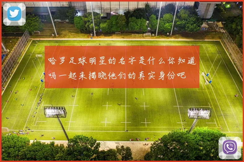哈罗足球明星的名字是什么你知道吗一起来揭晓他们的真实身份吧