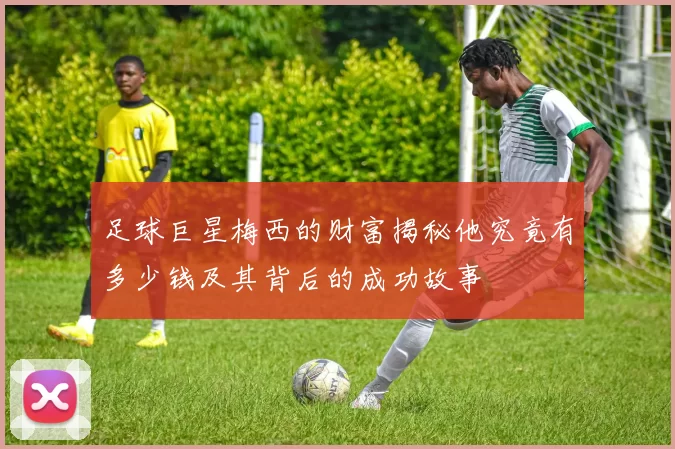 足球巨星梅西的财富揭秘他究竟有多少钱及其背后的成功故事