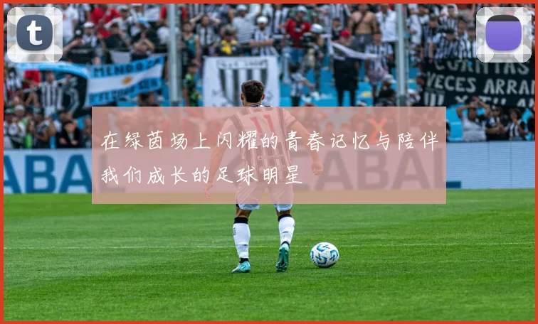 在绿茵场上闪耀的青春记忆与陪伴我们成长的足球明星