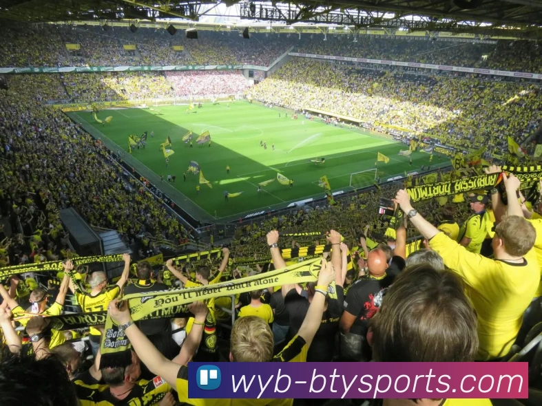 App Interface Preview